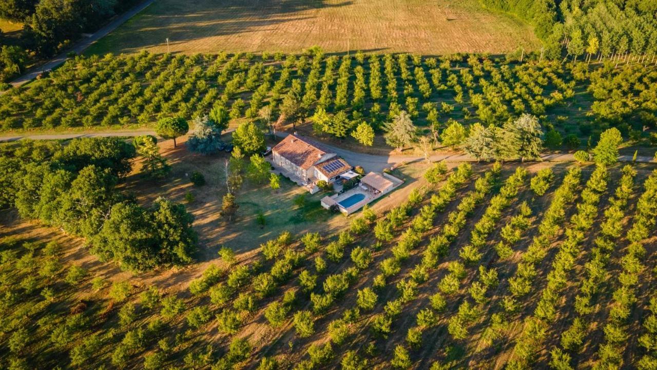 Gite De Beausoleil Bed & Breakfast La Romieu Dış mekan fotoğraf